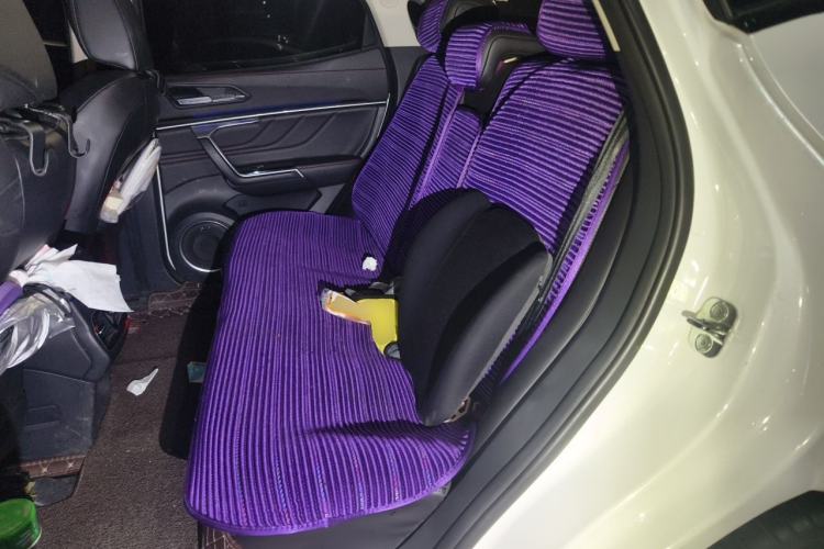 Used Wey VV5 2017 2.0T Ultra-Luxury Version Left Rear Seat