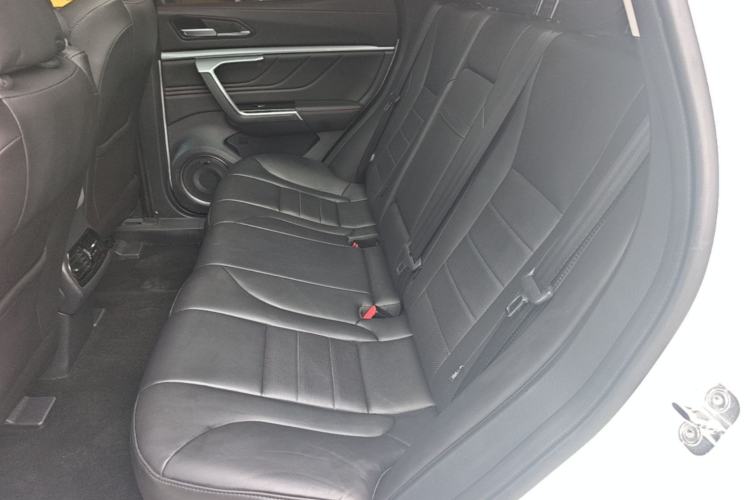 Used Wey VV5 2017 2.0T Ultra-Luxury Version Left Rear Seat
