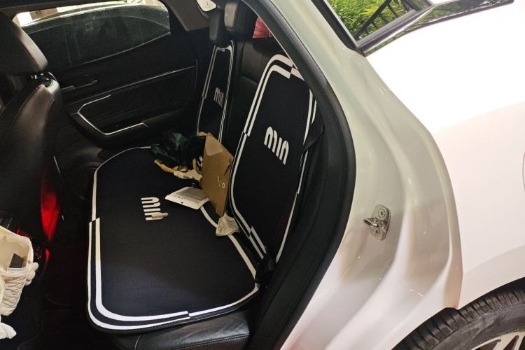 Used Wey VV5 2017 2.0T Ultra-Luxury Version Left Rear Seat