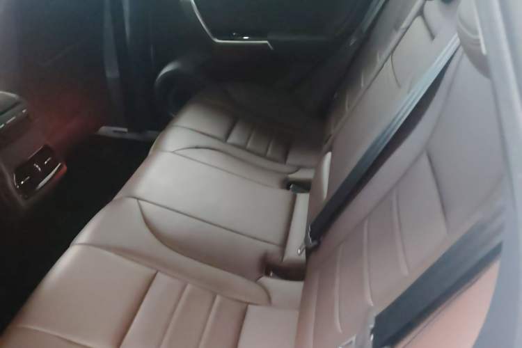 Used Wey VV5 2017 2.0T Ultra-Luxury Version Left Rear Seat