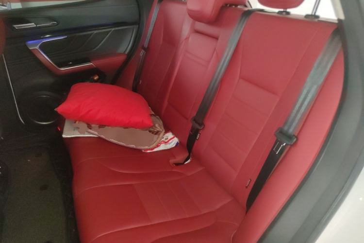 Used Wey VV5 2017 2.0T Ultra-Luxury Version Left Rear Seat