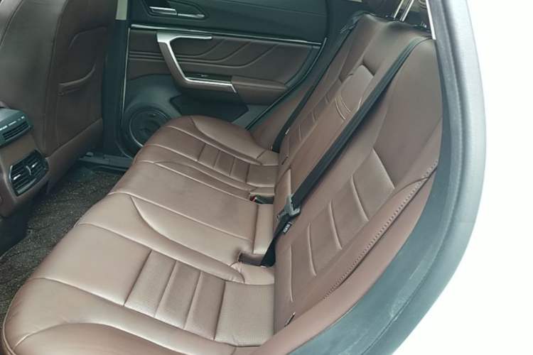 Used Wey VV5 2017 2.0T Ultra-Luxury Version Left Rear Seat