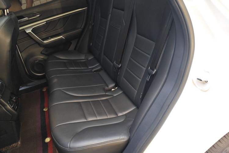 Used Wey VV5 2017 2.0T Ultra-Luxury Version Left Rear Seat