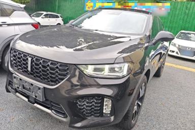 Used Wey VV5 2019 Upgraded Model 2.0T Two-Wheel Drive Ultra-Luxury Version China V Standard