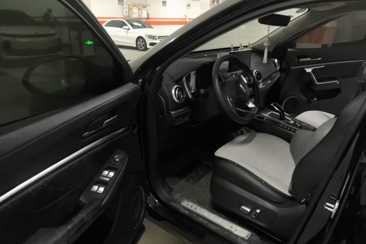 Used Wey VV5 2019 1.5T Two-Wheel Drive Color Pioneer Driver Seat