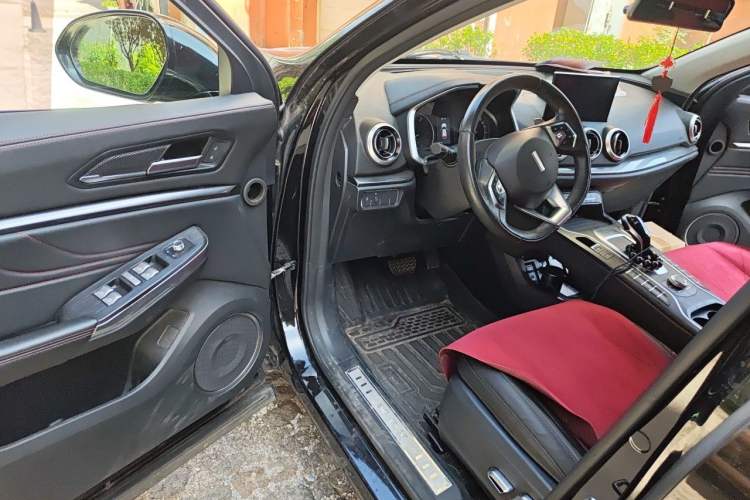 Used Wey VV5 2019 1.5T Two-Wheel Drive Color Pioneer Driver Seat