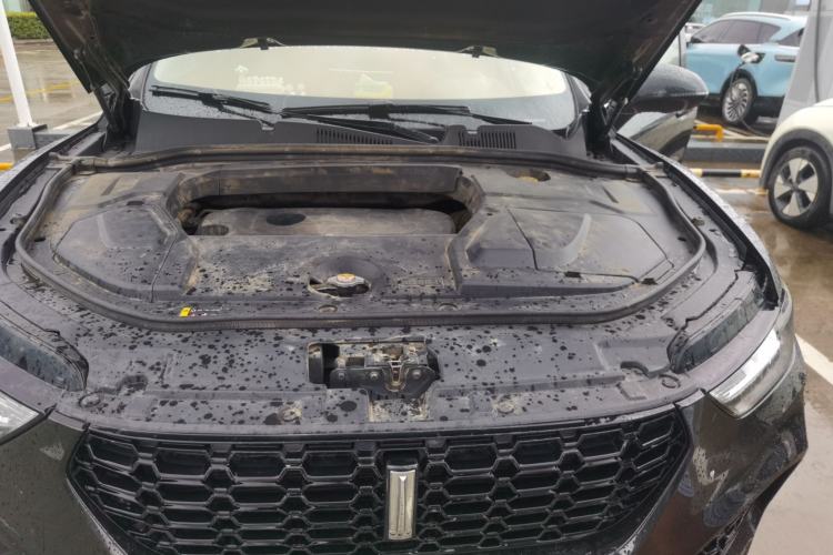 Used Wey VV5 2019 Upgraded Model 2.0T Two-Wheel Drive Ultra-Luxury Version China VI Standard Engine Bay