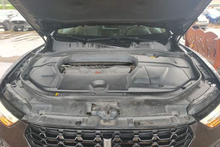 Used Wey VV5 2019 1.5T Two-Wheel Drive Color Pioneer Engine Bay