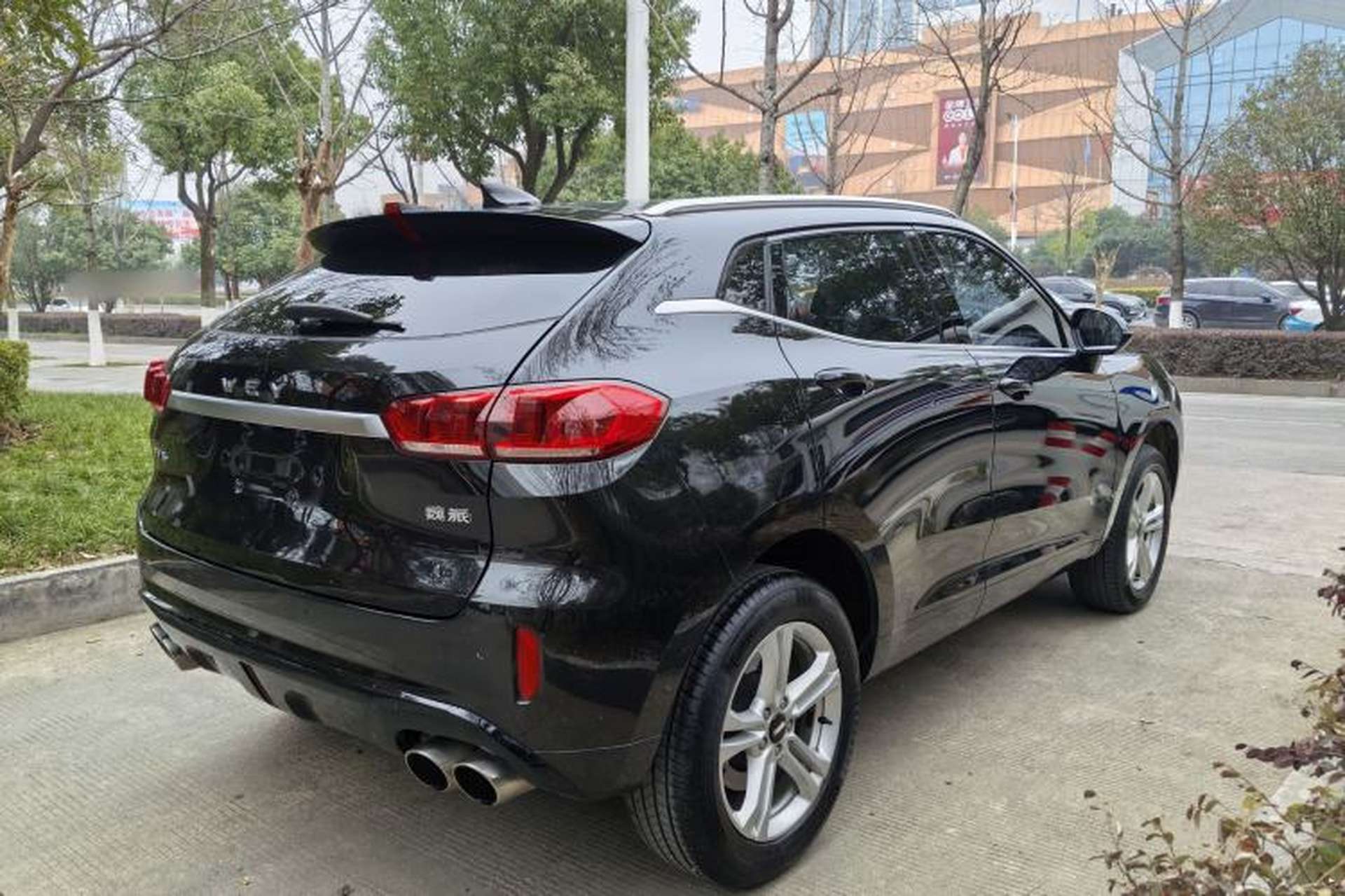 Used Wey VV5 2019 1.5T Two-Wheel Drive Color Pioneer Exterior 5