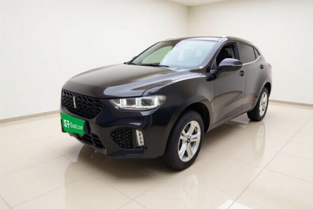 Used Wey VV5 2019 1.5T Two-Wheel Drive Color Pioneer