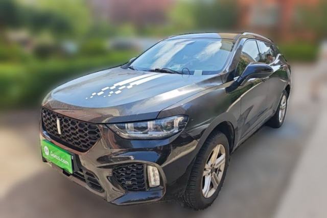 Used Wey VV5 2019 1.5T Two-Wheel Drive Color Pioneer