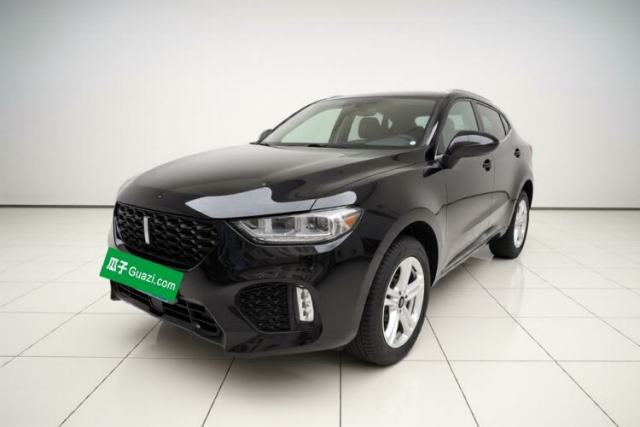 Used Wey VV5 2019 1.5T Two-Wheel Drive Color Pioneer