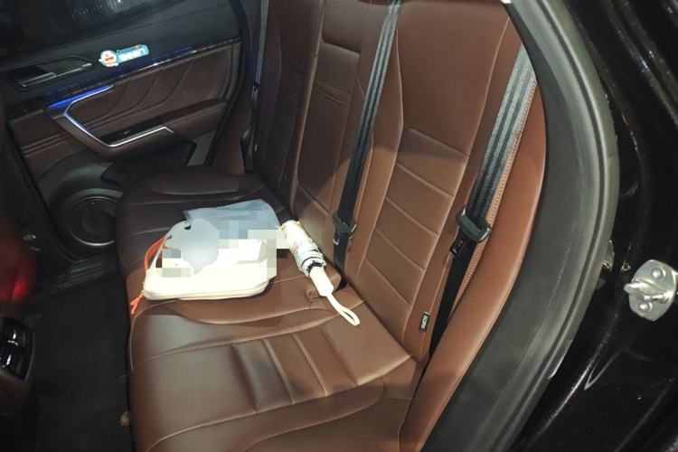 Used Wey VV5 2019 Upgraded Model 2.0T Two-Wheel Drive Ultra-Luxury Version China VI Standard Left Rear Seat