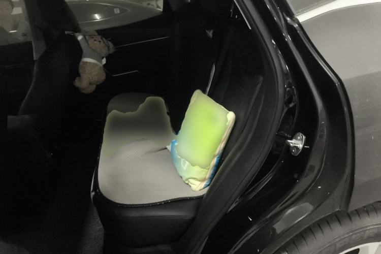 Used Wey VV5 2019 1.5T Two-Wheel Drive Color Pioneer Left Rear Seat