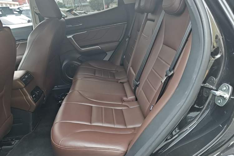 Used Wey VV5 2019 Upgraded Model 2.0T Two-Wheel Drive Ultra-Luxury Version China V Standard Left Rear Seat