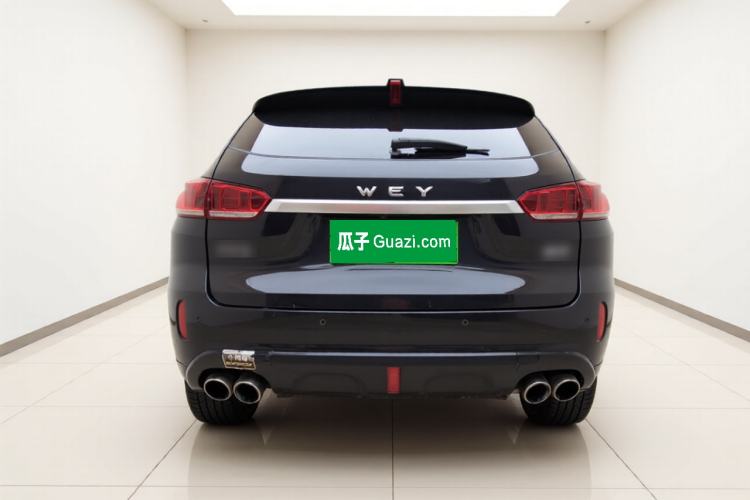 Used Wey VV5 2019 1.5T Two-Wheel Drive Color Pioneer Rear
