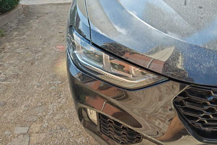 Used Wey VV5 2019 1.5T Two-Wheel Drive Color Pioneer Right Front Headlight