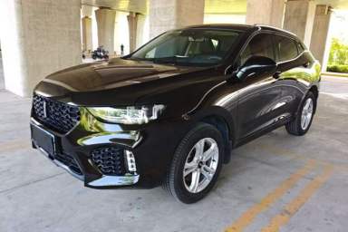 Used Wey VV5 2019 1.5T Two-Wheel Drive Color Pioneer