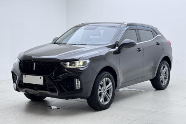 Used Wey VV5 2019 2.0T Two-Wheel-Drive Ultimate Edition