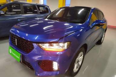 Used Wey VV5 2019 1.5T Two-Wheel Drive Smart Pioneer