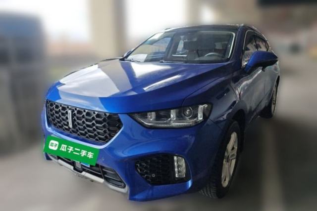 Wey VV5 2019 1.5T Two-Wheel Drive Color Pioneer d’occasion
