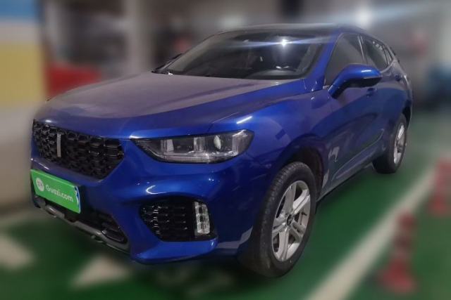 Used Wey VV5 2019 1.5T Two-Wheel Drive Color Pioneer