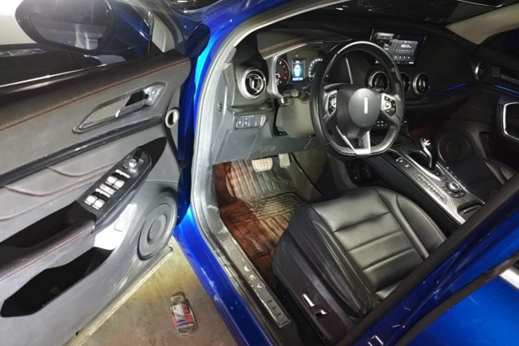 Used Wey VV5 2019 1.5T Two-Wheel Drive Color Pioneer Driver Seat