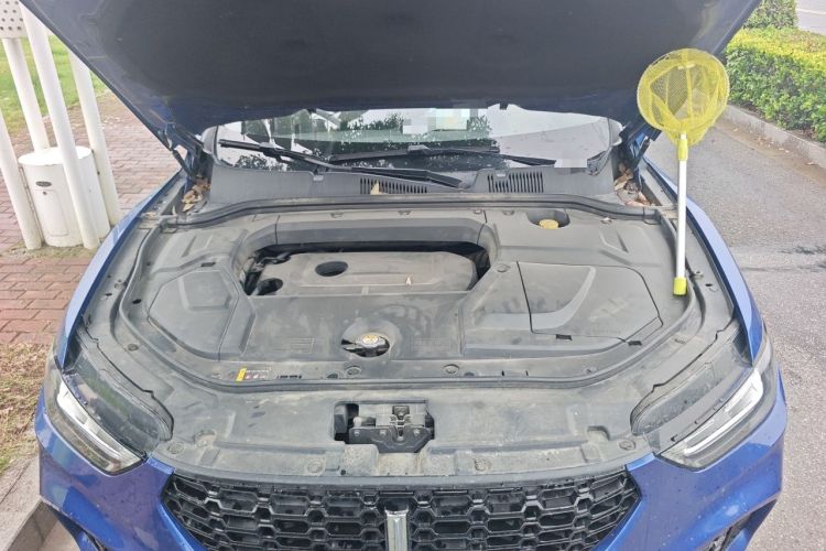 Used Wey VV5 2019 Upgraded Model 2.0T Two-Wheel Drive Ultra-Luxury Version China V Standard Engine Bay