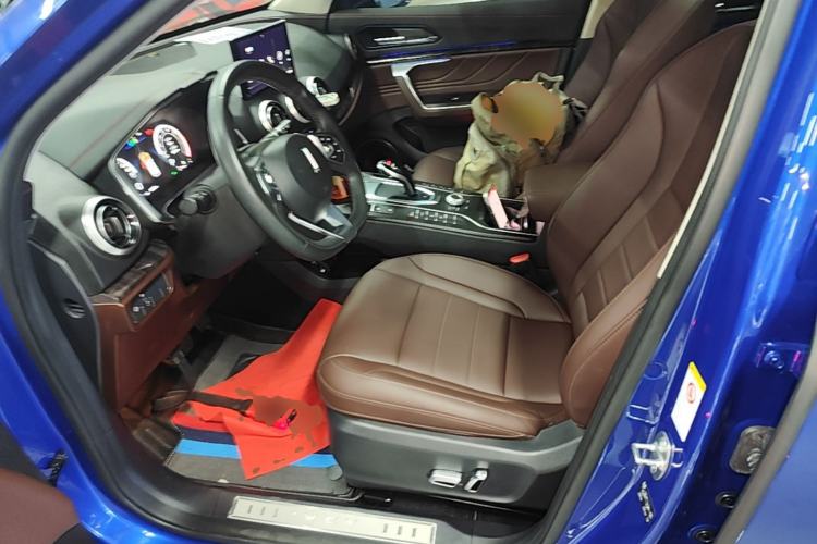 Used Wey VV5 2019 1.5T Two-Wheel Drive Smart Pioneer Left Front Seat