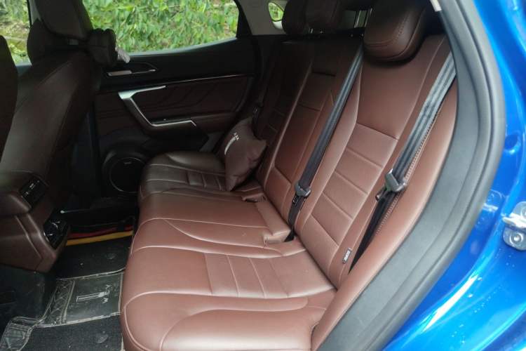 Used Wey VV5 2019 Upgraded Model 2.0T Two-Wheel Drive Ultra-Luxury Version China V Standard Left Rear Seat