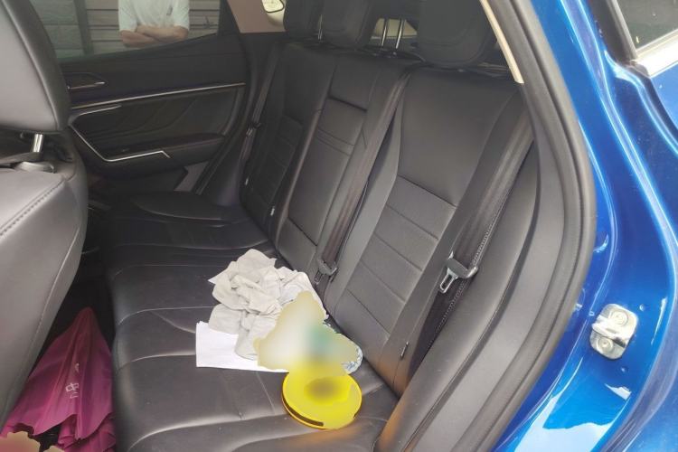 Used Wey VV5 2019 Upgraded Model 2.0T Two-Wheel Drive Ultra-Luxury Version China V Standard Left Rear Seat