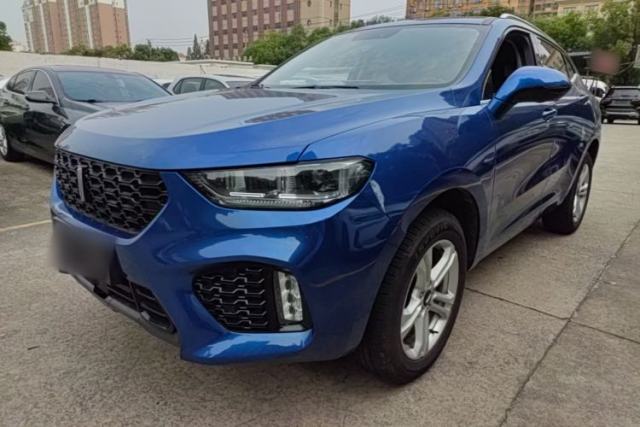 Used Wey VV5 2019 1.5T Two-Wheel Drive Color Pioneer