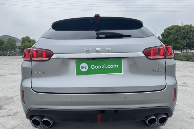 Used Wey VV5 2019 Upgraded Model 2.0T Two-Wheel Drive Ultra-Luxury Version China V Standard Exterior 10