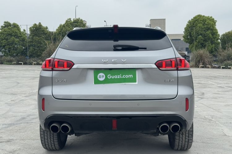 Used Wey VV5 2019 Upgraded Model 2.0T Two-Wheel Drive Ultra-Luxury Version China V Standard Exterior 5