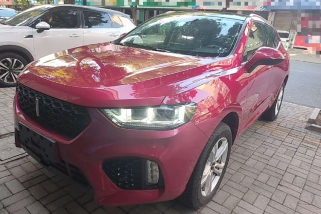 Used Wey VV5 2019 1.5T Two-Wheel Drive Color Pioneer