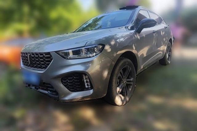 Used Wey VV5 2019 1.5T Two-Wheel Drive Color Pioneer