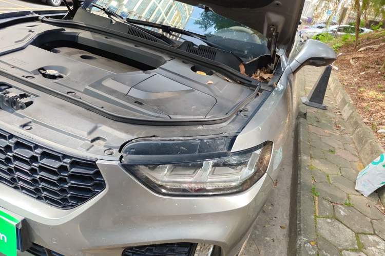 Used Wey VV5 2019 Upgraded Model 2.0T Two-Wheel Drive Ultra-Luxury Version China VI Standard Engine Bay Left