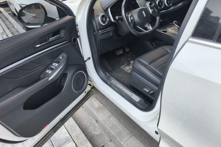 Used Wey VV5 2019 1.5T Two-Wheel Drive Color Pioneer Driver Seat