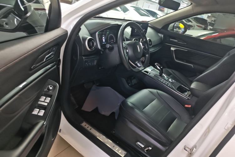 Used Wey VV5 2019 1.5T Two-Wheel Drive Color Pioneer Driver Seat
