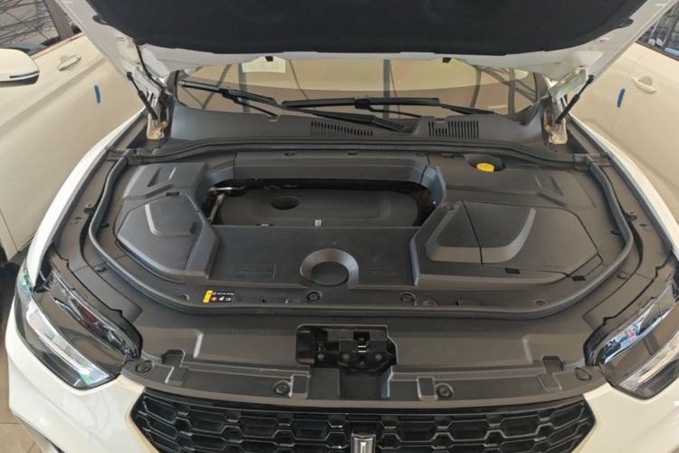 Used Wey VV5 2019 Upgraded Model 2.0T Two-Wheel Drive Ultra-Luxury Version China VI Standard Engine Bay