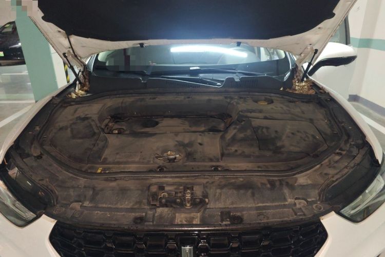 Used Wey VV5 2019 Upgraded Model 2.0T Two-Wheel Drive Ultra-Luxury Version China VI Standard Engine Bay