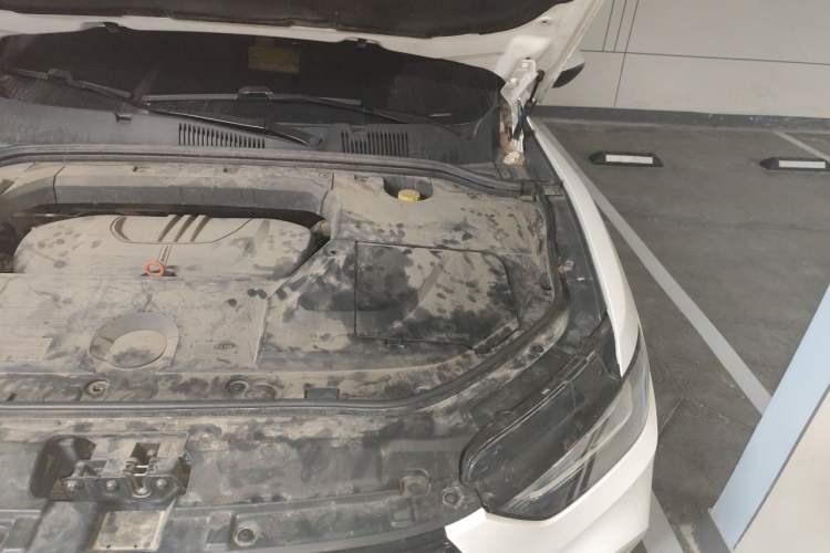 Used Wey VV5 2019 1.5T Two-Wheel Drive Smart Pioneer Engine Bay Left