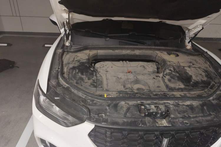 Used Wey VV5 2019 1.5T Two-Wheel Drive Smart Pioneer Engine Bay Right