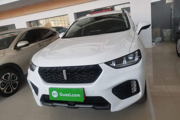 Used Wey VV5 2019 1.5T Two-Wheel Drive Color Pioneer Exterior 1