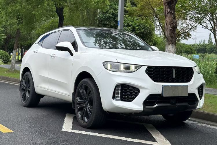 Used Wey VV5 2019 Upgraded Model 2.0T Two-Wheel Drive Flagship Version China V Standard Exterior 10
