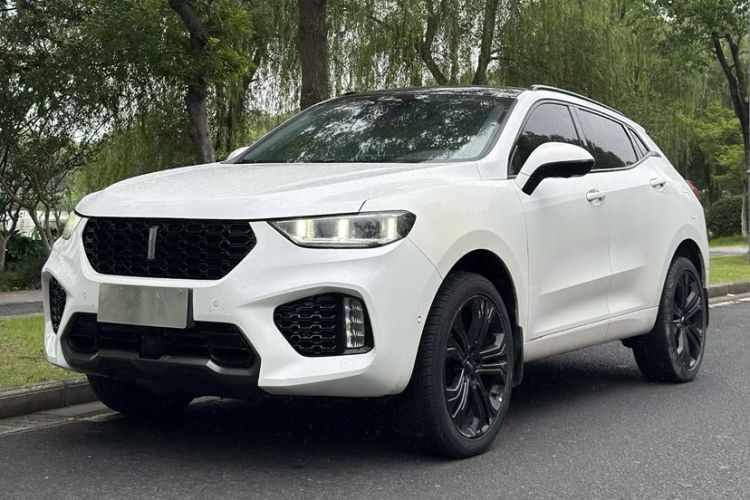 Used Wey VV5 2019 Upgraded Model 2.0T Two-Wheel Drive Flagship Version China V Standard Exterior 11