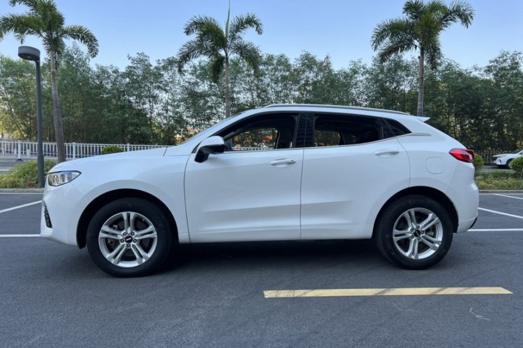 Used Wey VV5 2019 1.5T Two-Wheel Drive Smart Pioneer Exterior 6