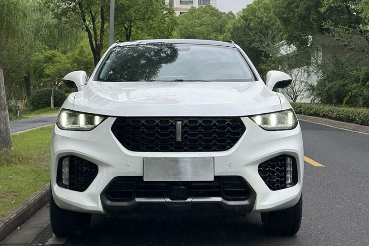Used Wey VV5 2019 Upgraded Model 2.0T Two-Wheel Drive Flagship Version China V Standard Exterior 6