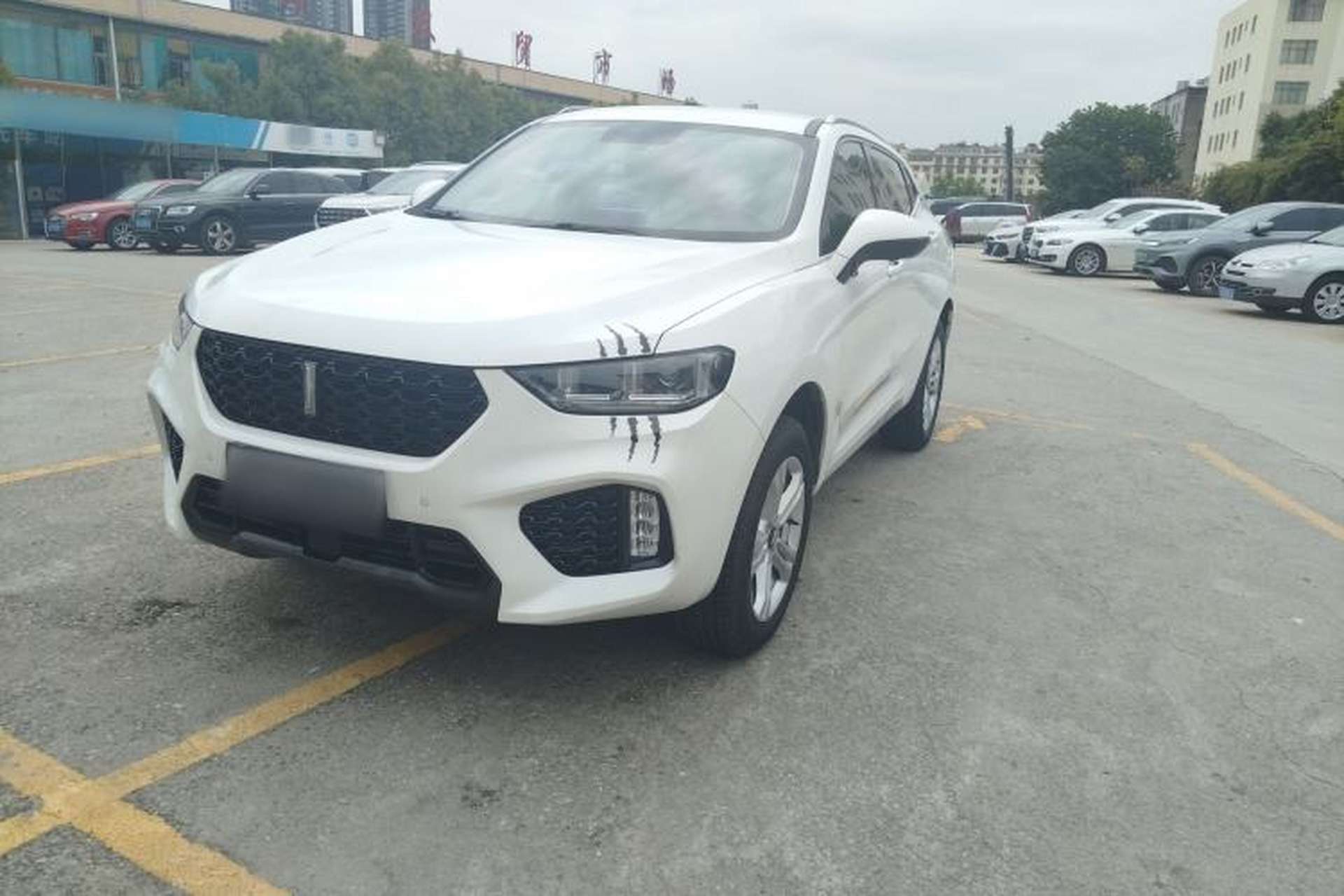 Used Wey VV5 2019 1.5T Two-Wheel Drive Color Pioneer Exterior 7