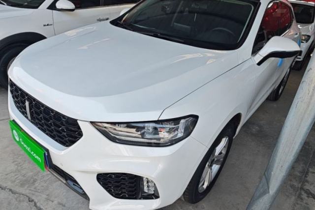 Used Wey VV5 2019 1.5T Two-Wheel Drive Smart Pioneer